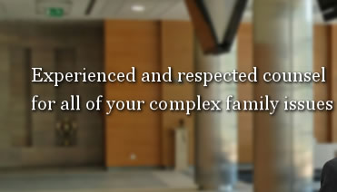 best divorce lawyers