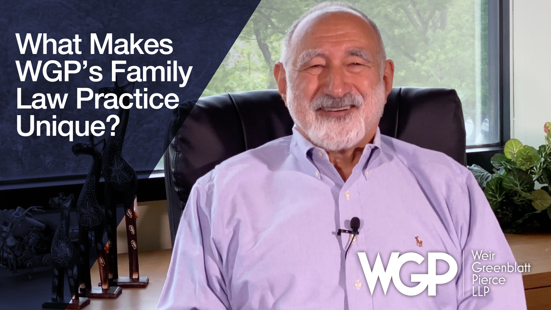 VIDEO: What makes WGP's family law practice unique?
